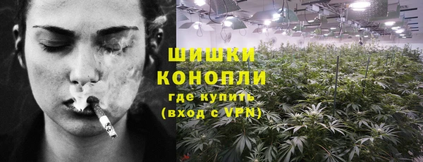 винт Аркадак