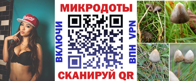 Псилоцибиновые грибы ЛСД  это клад  Щёлкино 