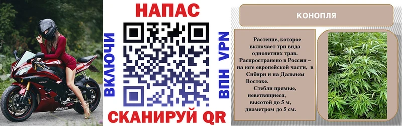 Бошки марихуана ГИДРОПОН  как найти закладки  Щёлкино 